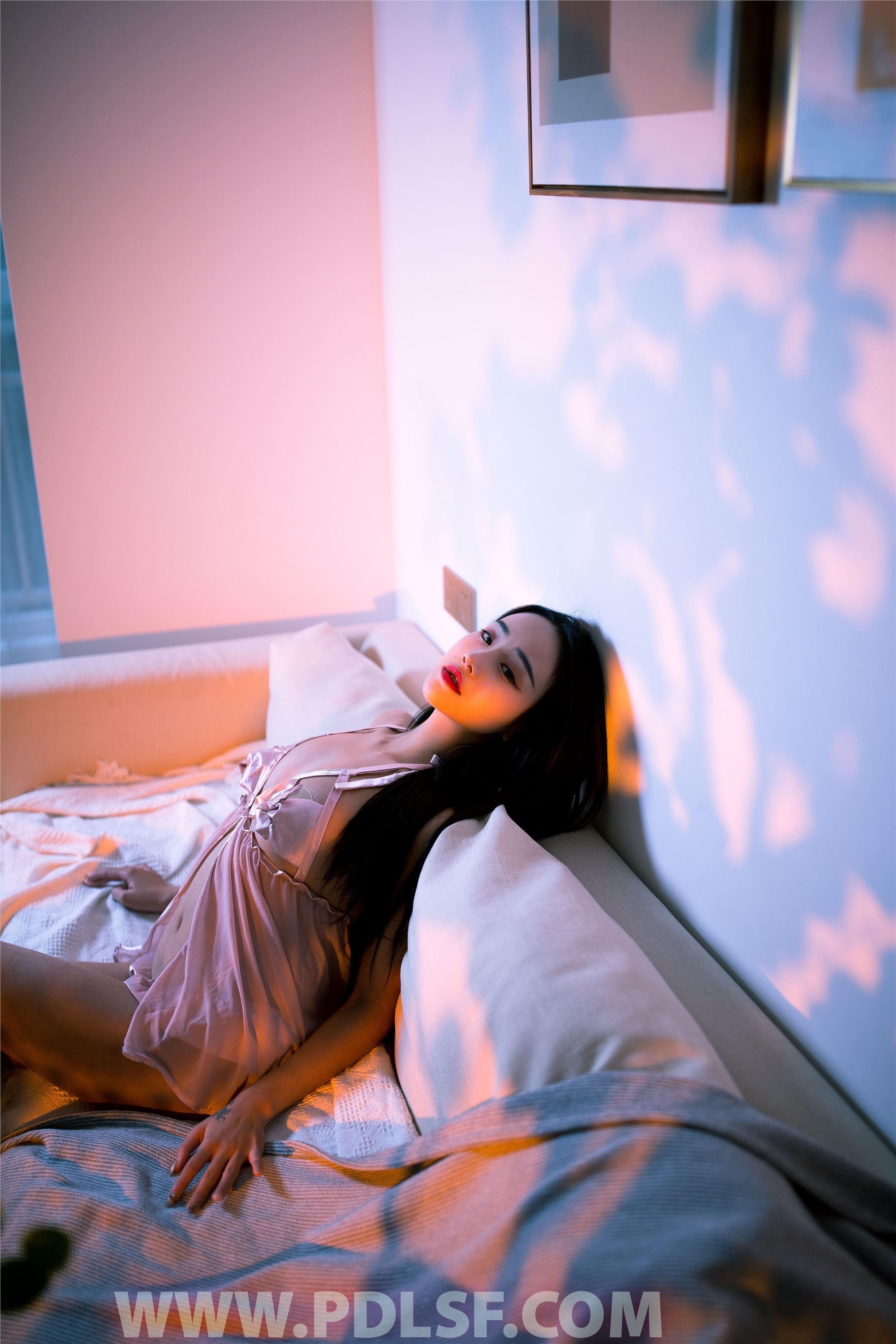 PDL潘多拉 2020.01.10 专辑No.265